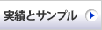 実績とサンプル